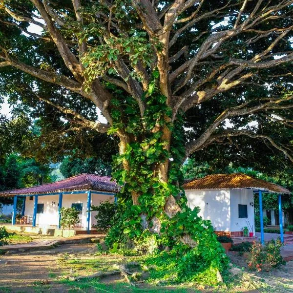 Finca del Rio Palomino, hotel v destinaci Palomino