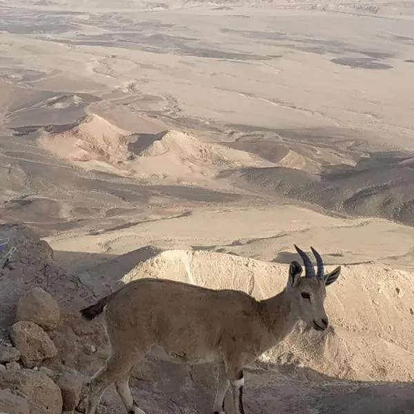 Desert Peace, hotel v destinaci Micpe Ramon