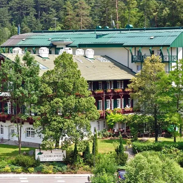 Hotel Schneeberghof, хотел в Пухберг ам Шнееберг