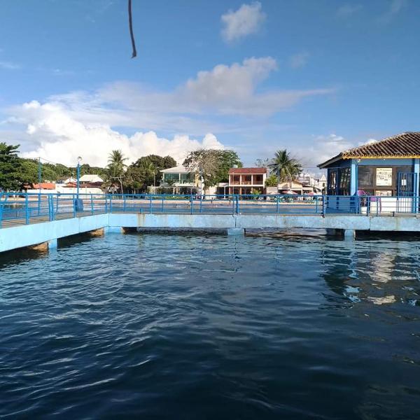 Propriedade Silva - Foto 4