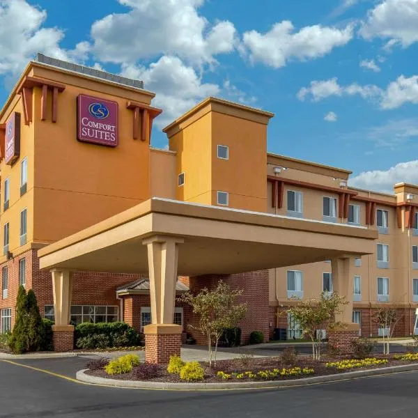 Comfort Suites Seaford, hotell i Georgetown