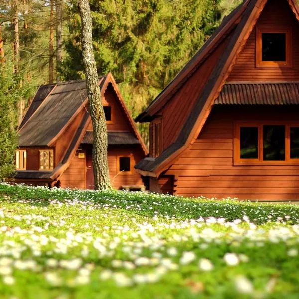 JordaNova, hotel v destinaci Gołkowice