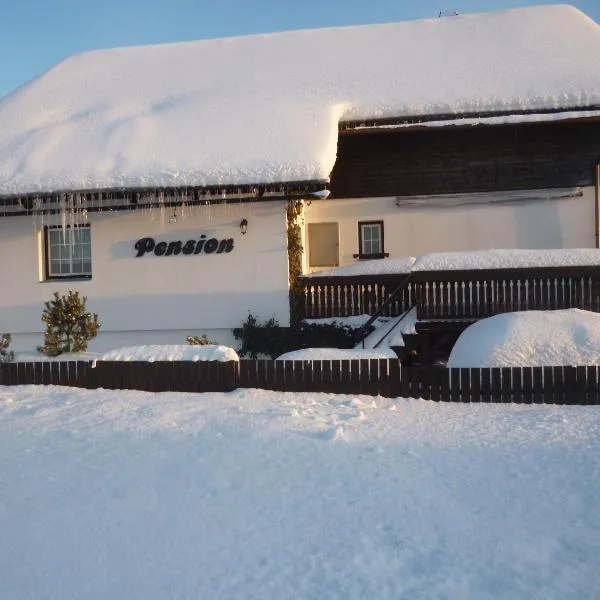 Pension Pugner, Hotel in Vysoké nad Jizerou