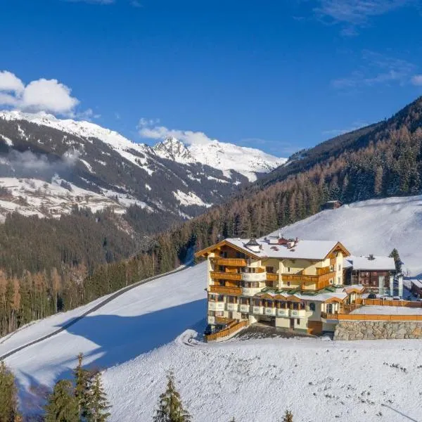 Gasthof Tannen - Alm, hotel v destinaci Stummerberg