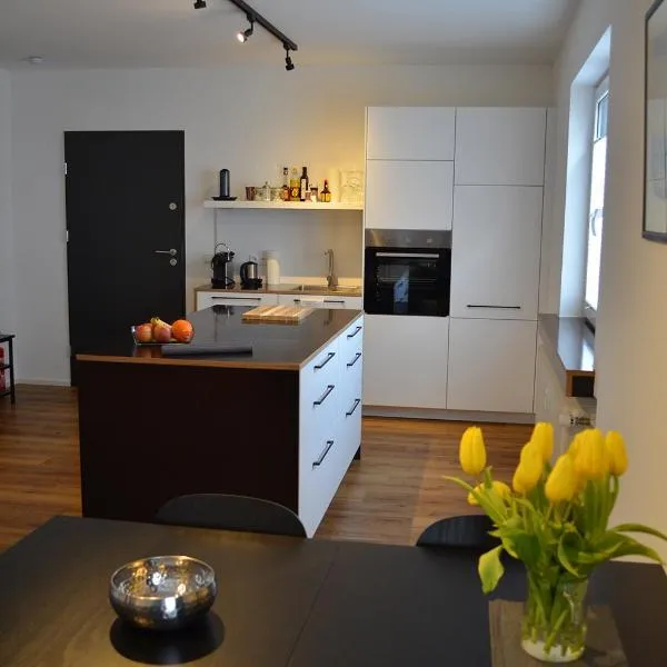 Apartment Pfungstadt, Hotel in Pfungstadt