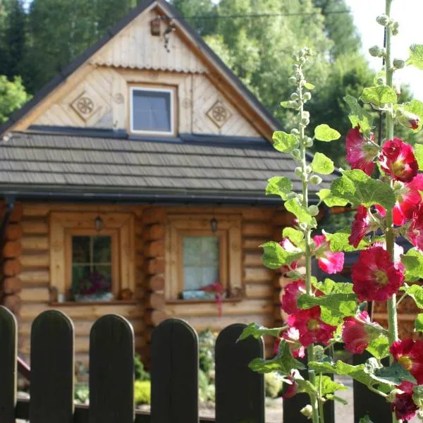 CHATA PACHNĄCA LASEM, hotel v destinaci Andrychów