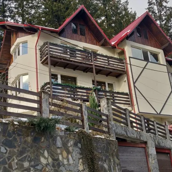 Casa Adina, Hotel in Sinaia