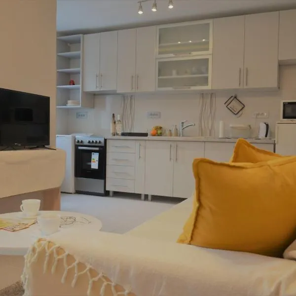 Spacious 2-bedroom apartment with luxury feel, hotel in Novi Sad