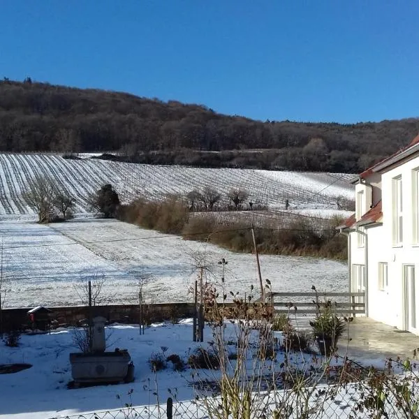 Aux vignes, hôtel à Wissembourg