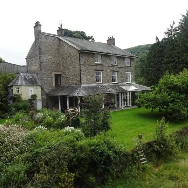 Plas Esgair、Llanbrynmairのホテル