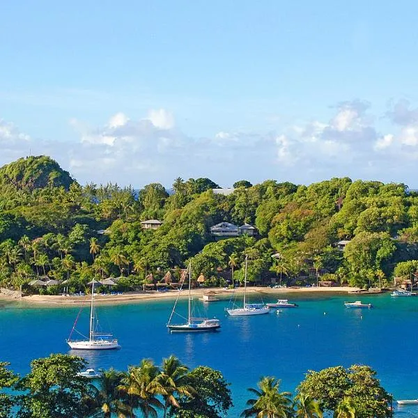 Young Island Resort, hotel v destinaci Kingstown
