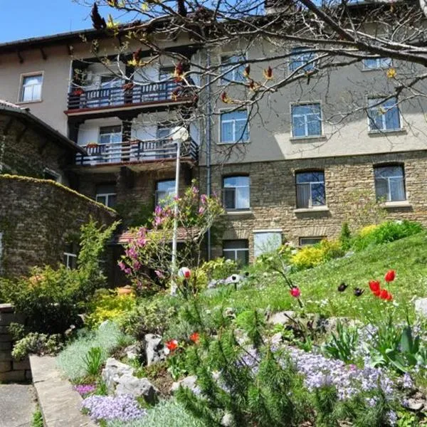 Балнеохотел "Люляци", hotel in Stolat