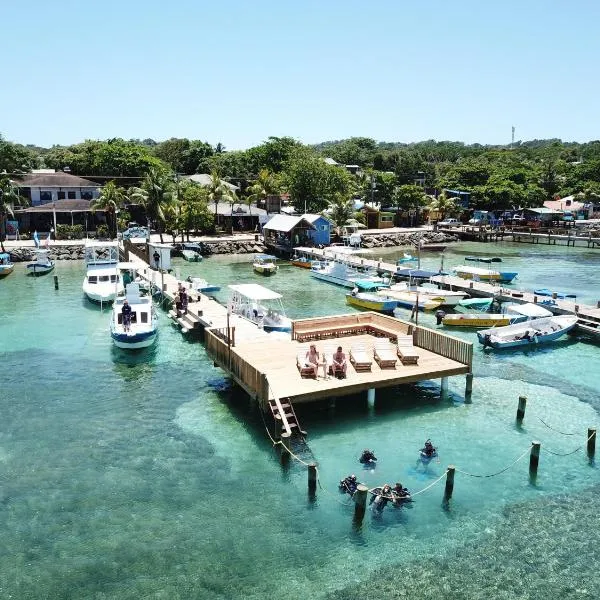 Splash Inn Dive Resort & Villas, hotel v destinaci West End