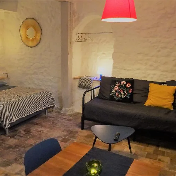 Appartement spacieux avec une vue sur Tours ( 38m²) -Gite de Bellevue, hôtel à Tours