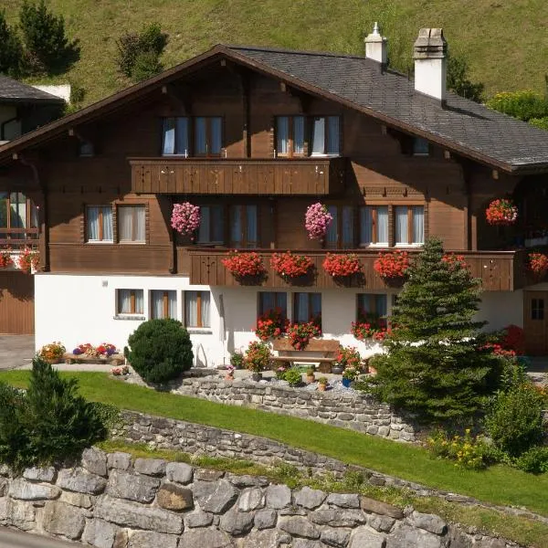Ferienwohnung & Studio Schaad, hotel in Hasliberg Wasserwendi