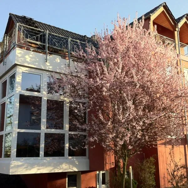 Gästehaus Kirschgarten, hotel em Bodenheim