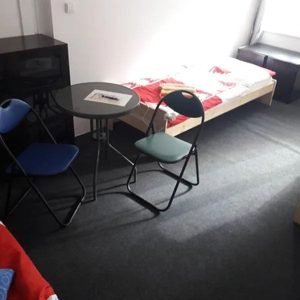 Apartmán pod Mariánskou horou, hotel in Desná