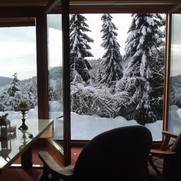 Chata s výhledem, hotel v destinaci Jáchymov
