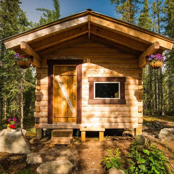 Blackburn Cabins - McCarthy, Alaska, מלון בMcCarthy
