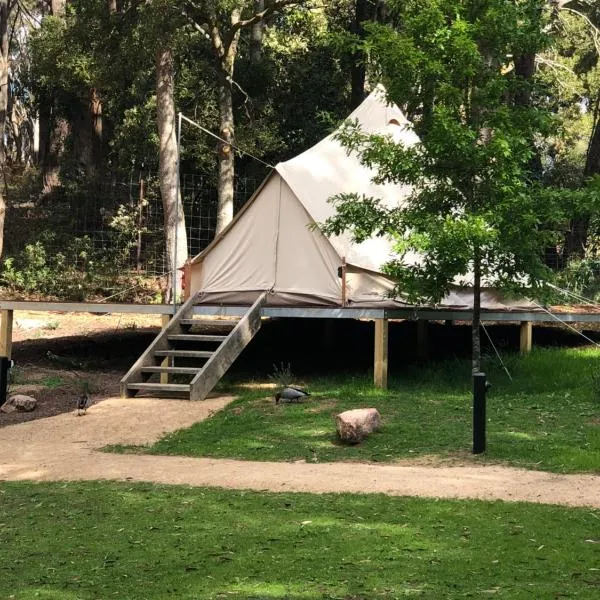 Garden Beds Glamping, hotel v destinaci Blackwood