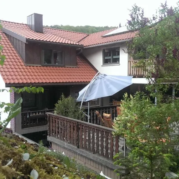 Pension Frauenschuh, hotel v destinaci Hirschbach