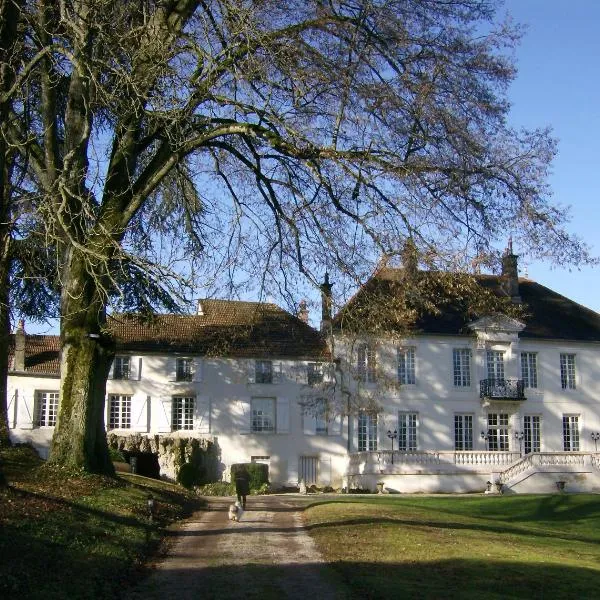 Le Chateau de Prauthoy, hotel en Montsaugeon