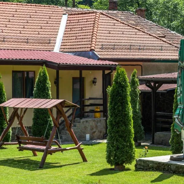 Casa Alex, hotel v destinaci Văliug