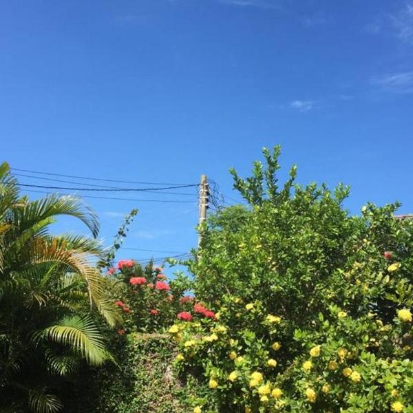 Ampla casa de praia - Foto 5