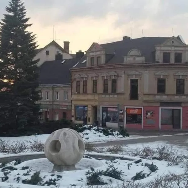 Apartmány Litvínov centrum, hotel di Český Jiřetín