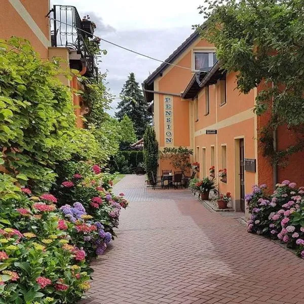 Pension Body Sun, hotell sihtkohas Niesky