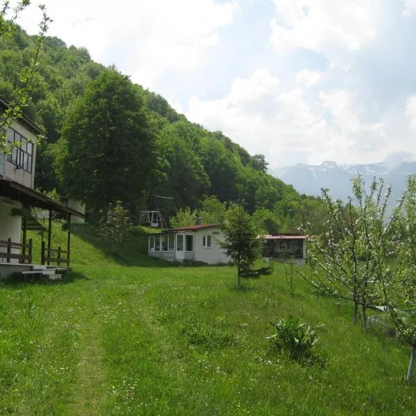 Bungalows Zdravets, hotel Berkovicában