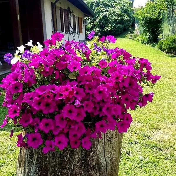 Viesnīca B&B Margot pilsētā Albavilla