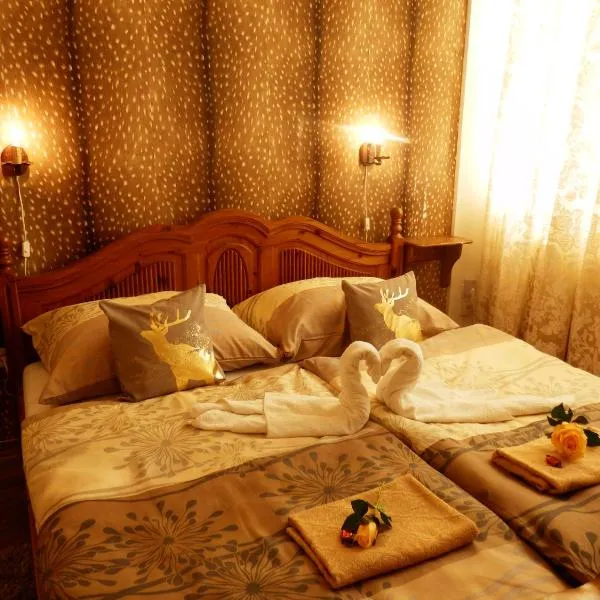 Guesthouse Ilona, hotel in Somotor