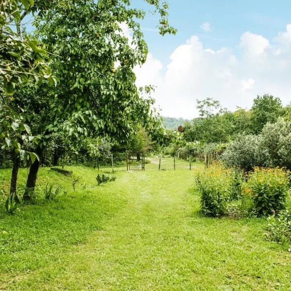 Daraselia Family guesthouse, hotel v destinaci Zugdidi