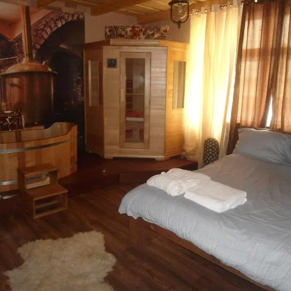 Luxusni Apartmany Stodolni, hotel v Ostravě