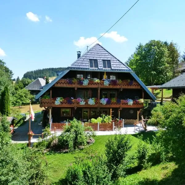 Ferienwohnungen Panoramablick, hotel in Bernau im Schwarzwald