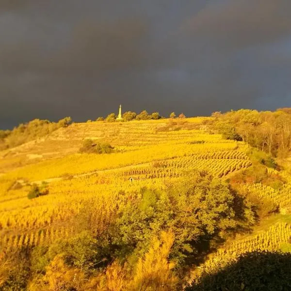 Wine Passion Panoramic, hotel v destinaci Chavanay