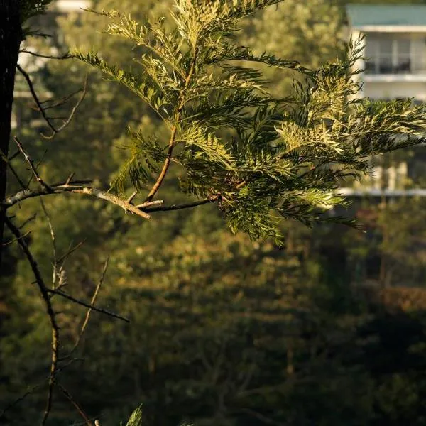 Falcon Crest, hotel v destinaci Vagamon