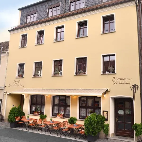 Hermanns Hotel Zum Goldenen Stern, hotel v destinaci Jüterbog