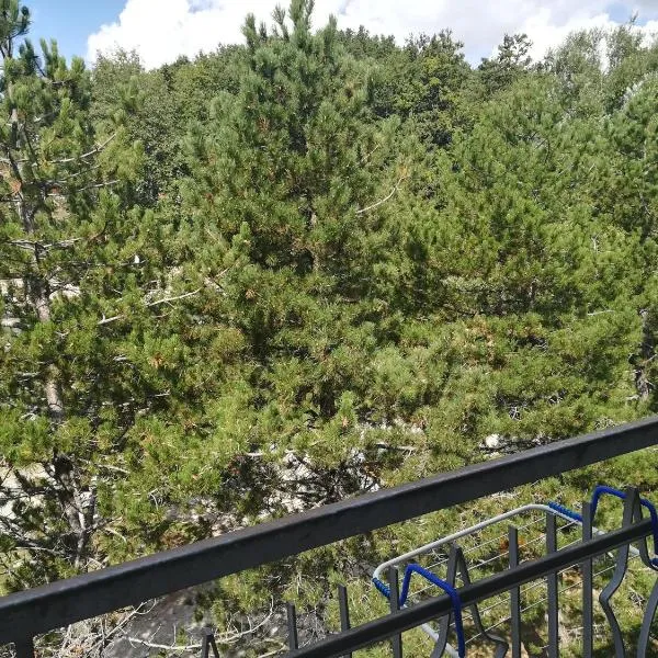 Da Santina, hotel Pieve Santo Stefanóban