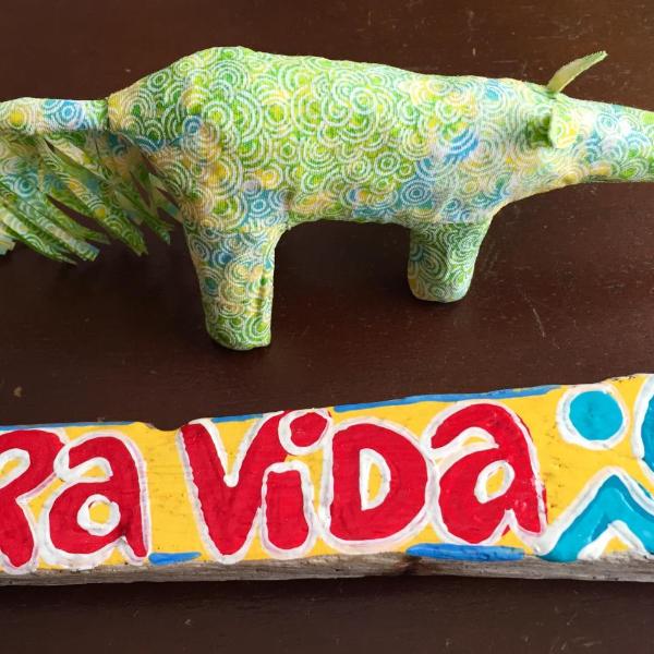 Chalé Pura Vida - Casa de madeira no centro