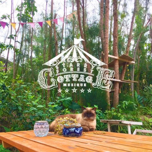 猫とピアノと星空のリゾートブティックコテージ -Starry Forest Cottage Okinawa-, hotel v destinaci Onna
