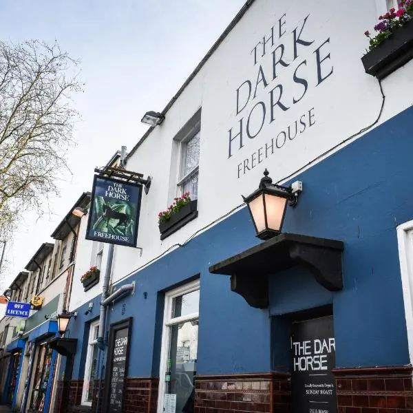 The Dark Horse Pub, hotel in Bristol
