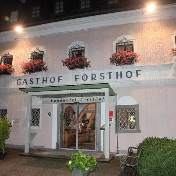 Forsthof Next Door, hotel in Steinbach an der Steyr