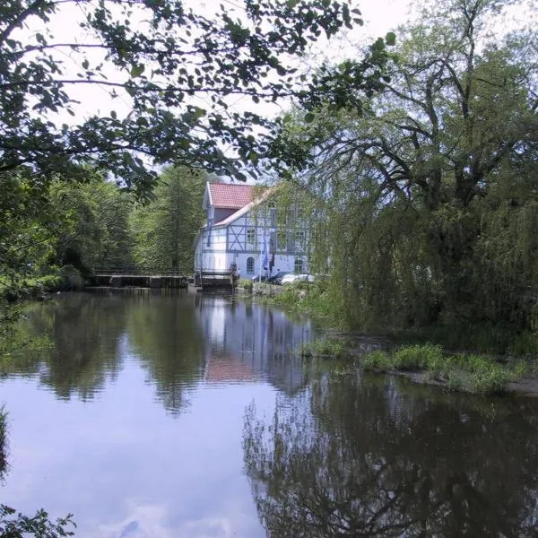 Mühlenteich in der Oldenstädter Wassermühle، فندق في أويلتسن