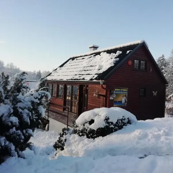 Chata v Jizerských Horách, hotel in Liberec