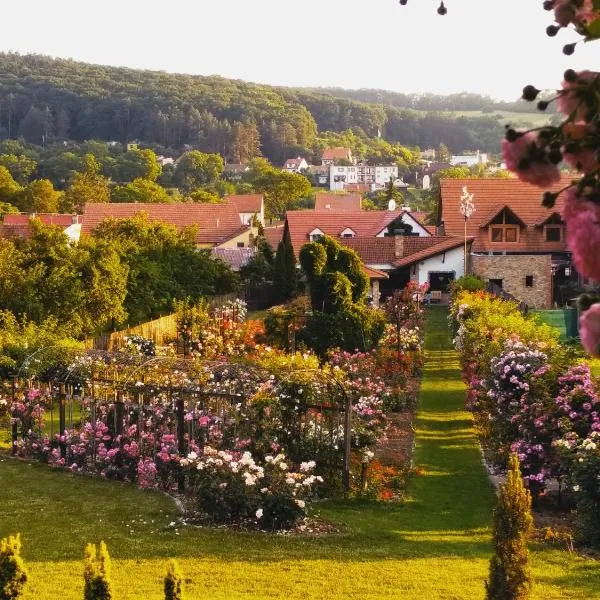 penzion ROSETA, hotell i Radějov