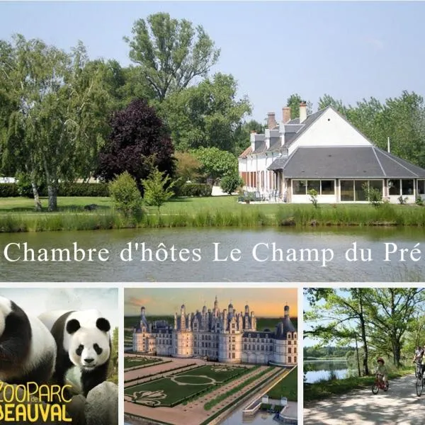 Le Champ du Pré, hotel en Gièvres