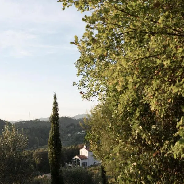 B&B La Fustaia, hotel in Sarzana