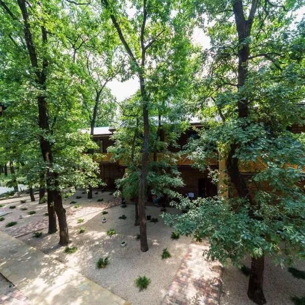 База отдыха Дубки – hotel w mieście Orlovshchina